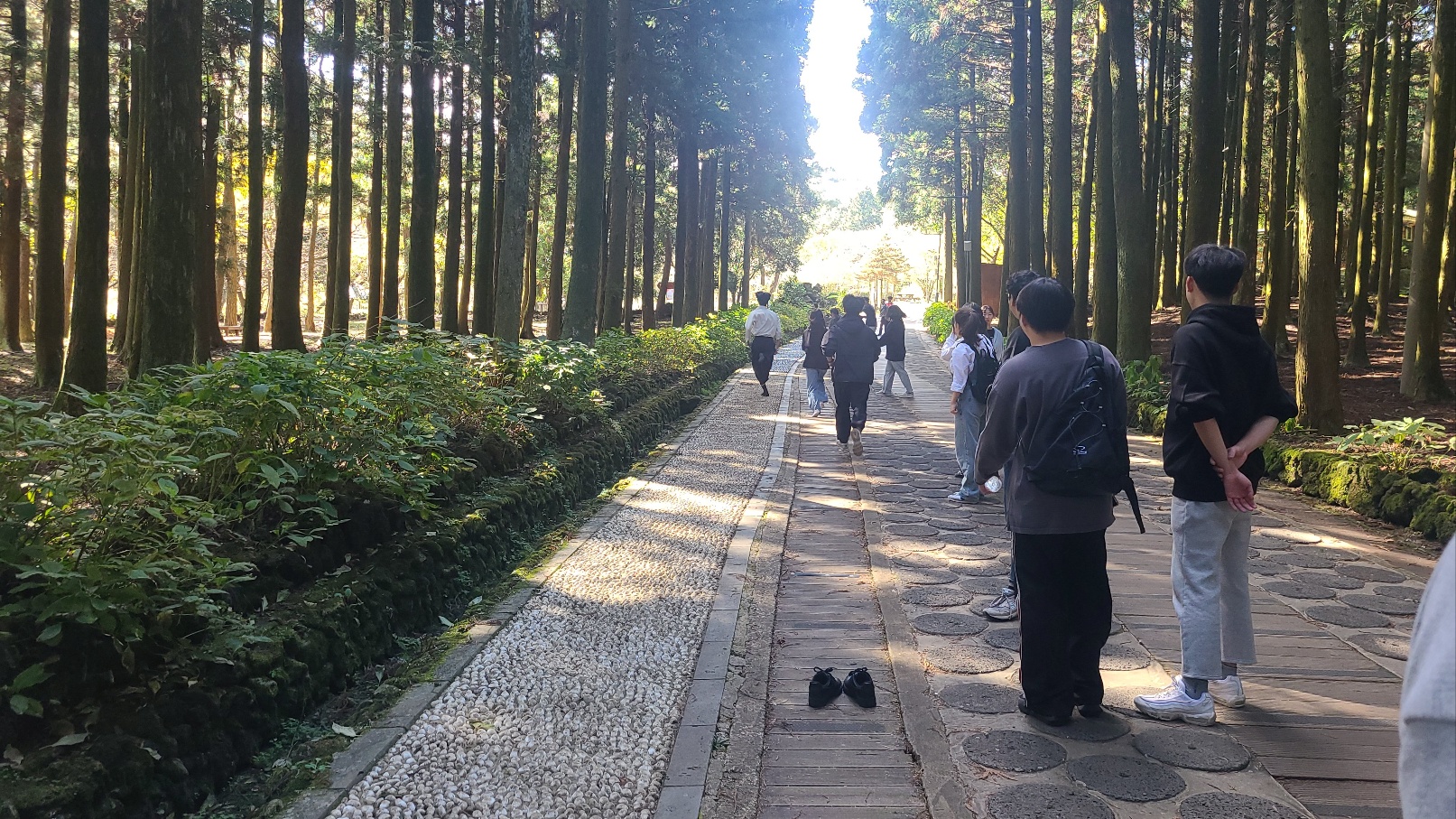 2023. 11. 걸으멍 놀멍(절물 휴양림)